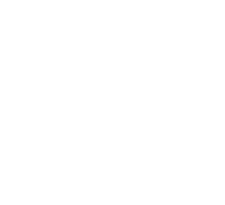 Palmyra_Logo_CMYK_White_noName